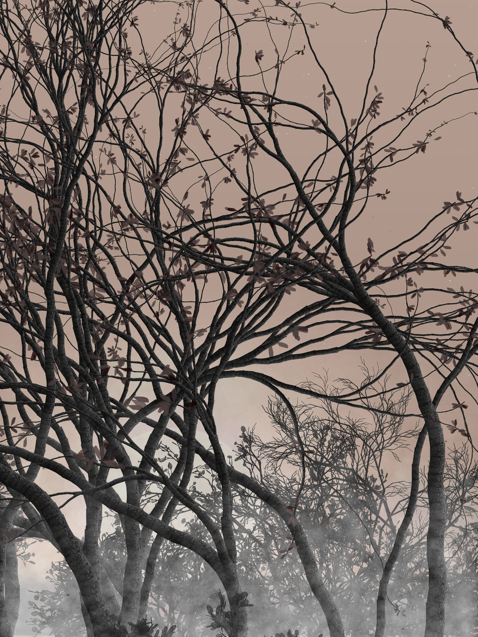 Morning Mist #246