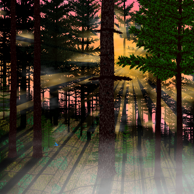 Forest Sunrise #14