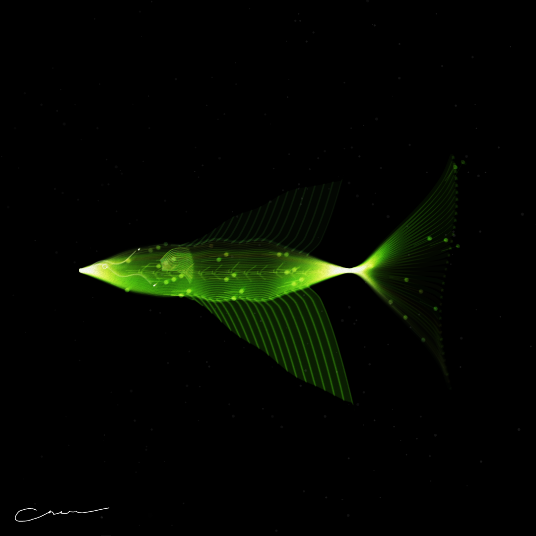 SoulFish #275