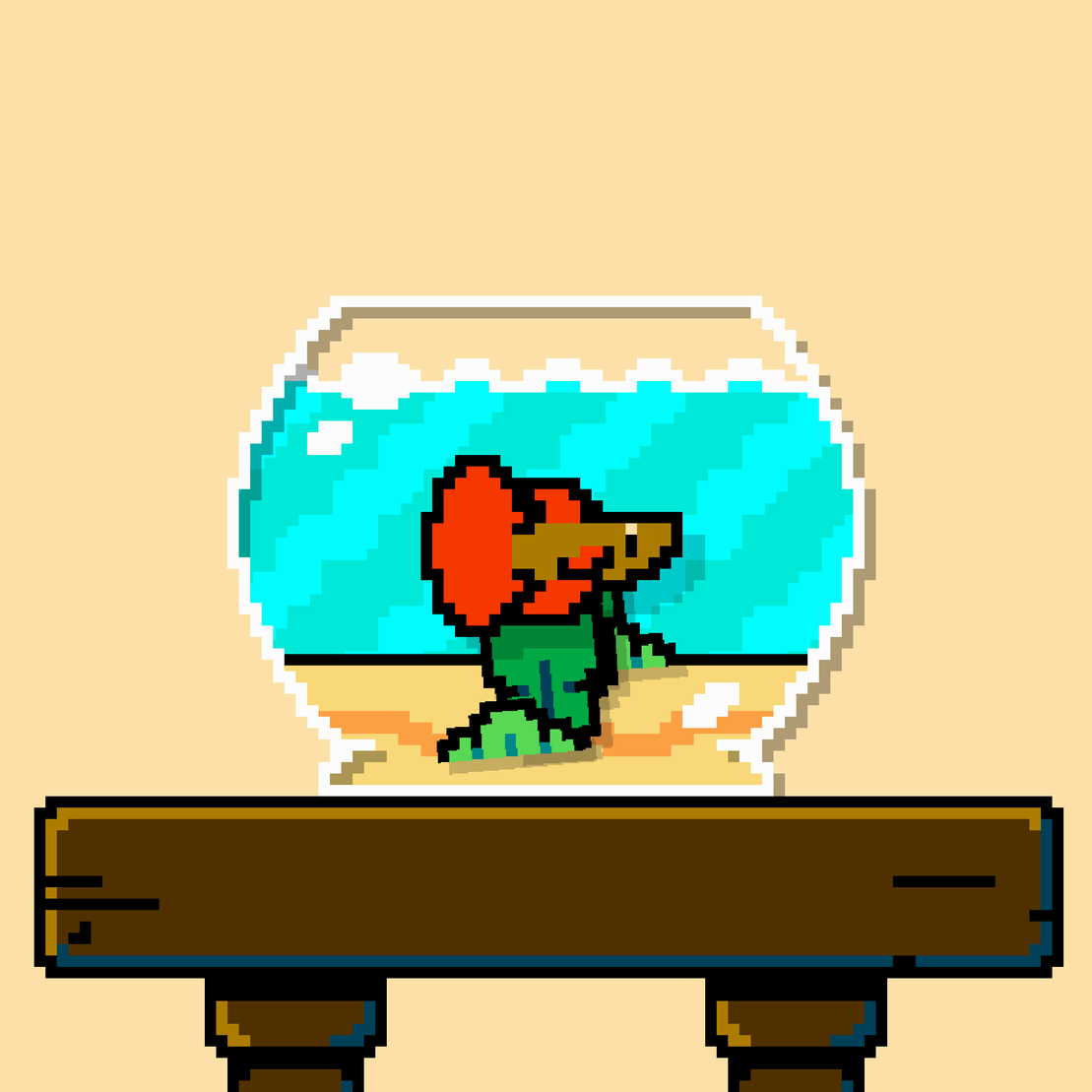 betta fish #651