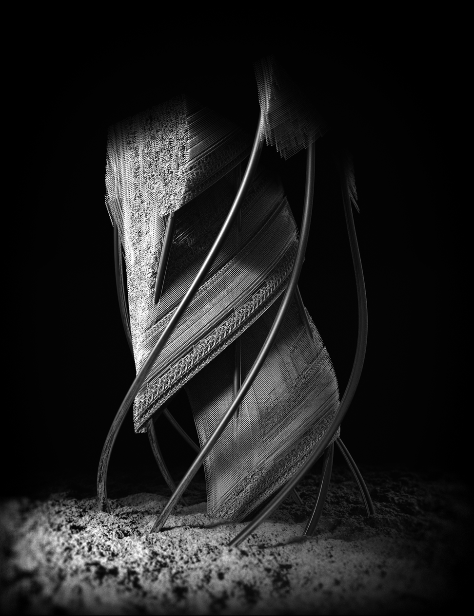 Chrysalis #178