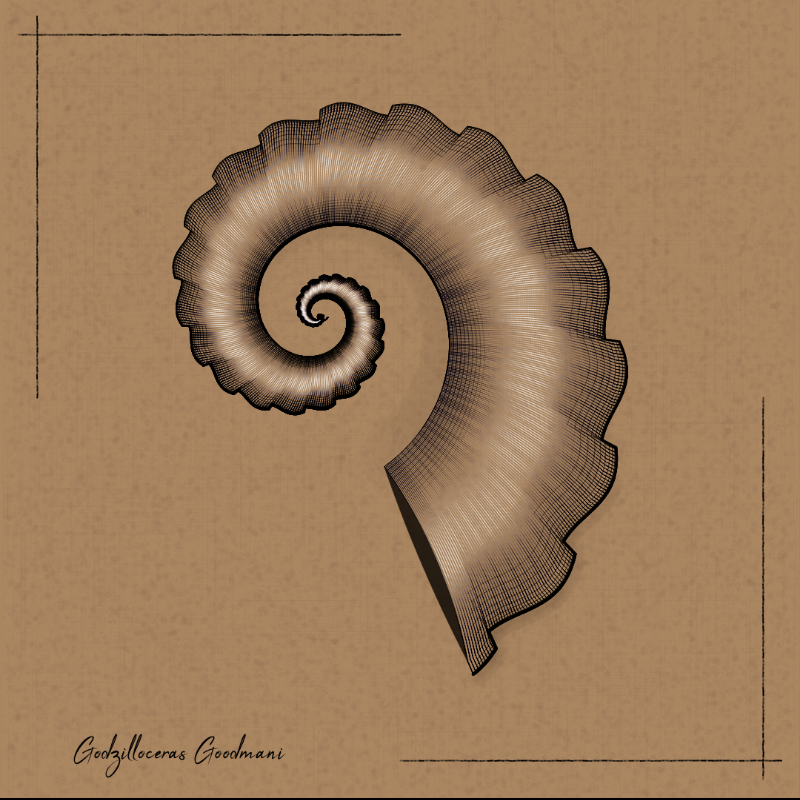 Ammonites #91