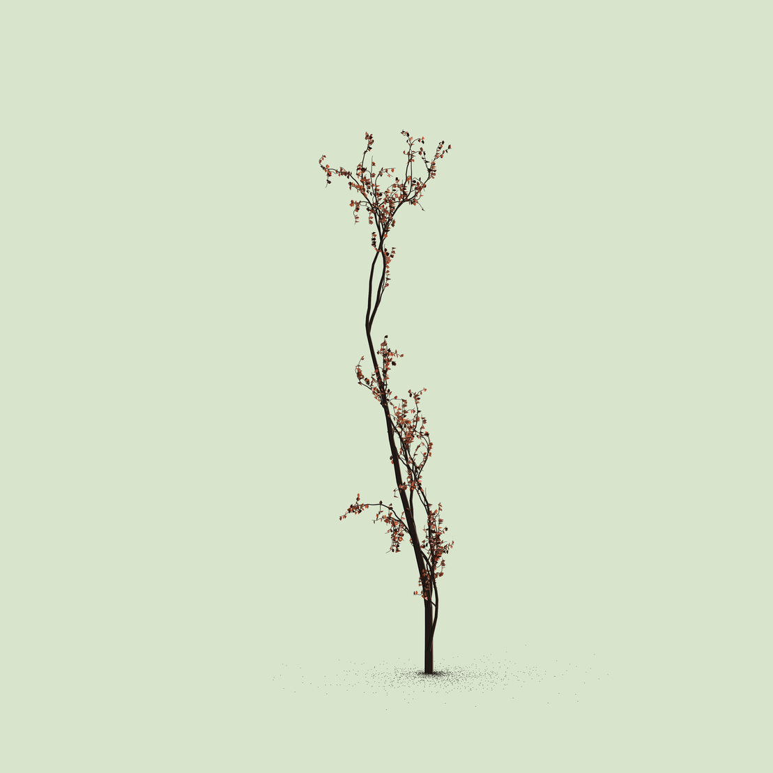 Little Trees #92