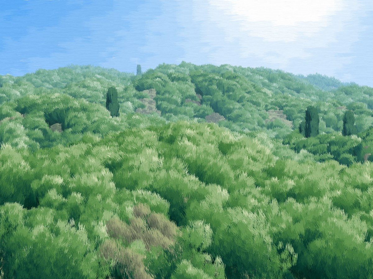 Provence #36