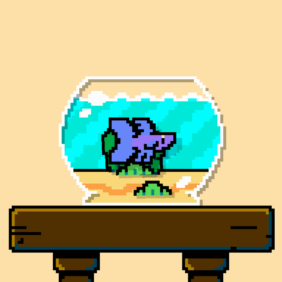 betta fish #317