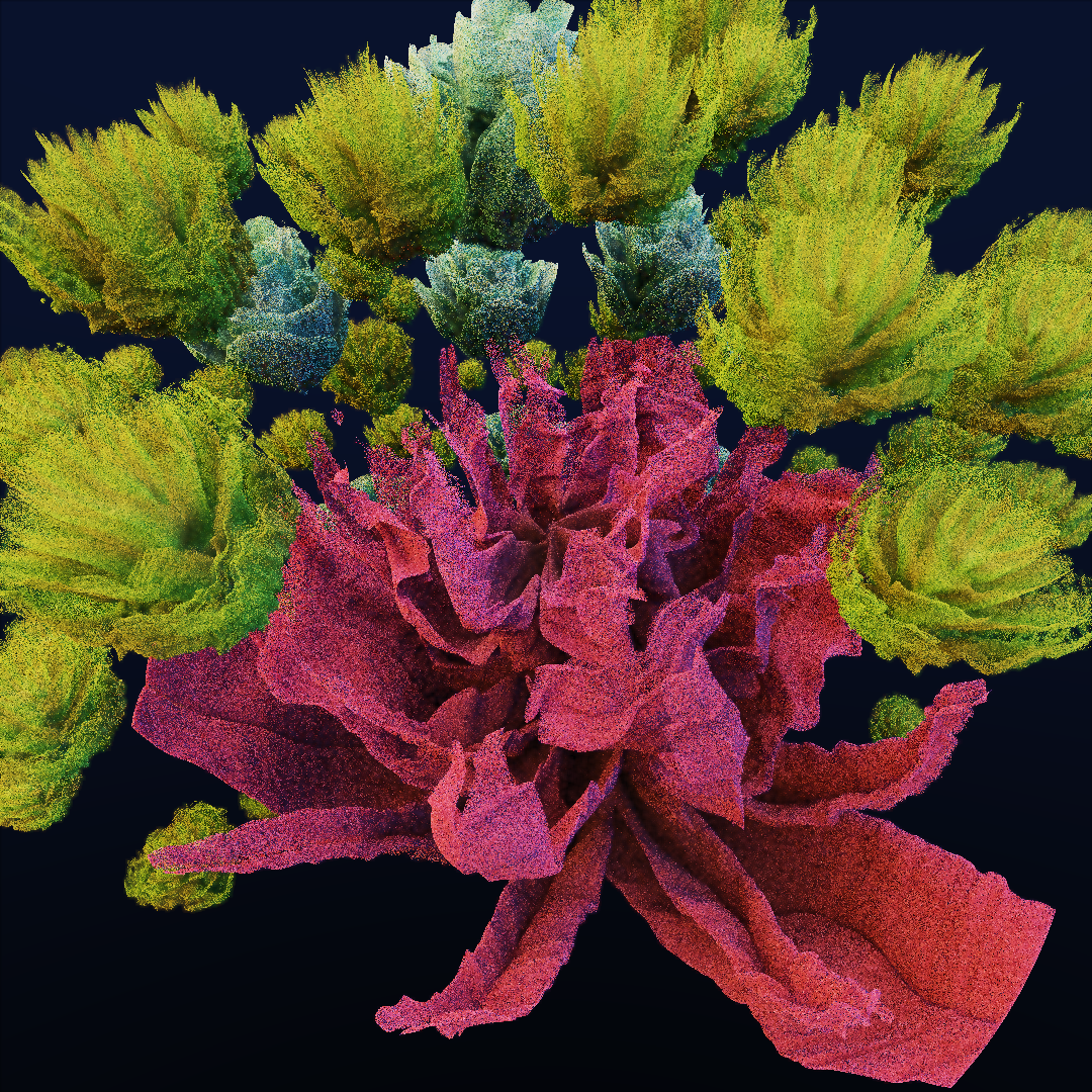 rosarium #156