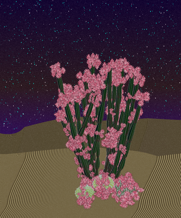 Cactigen #16