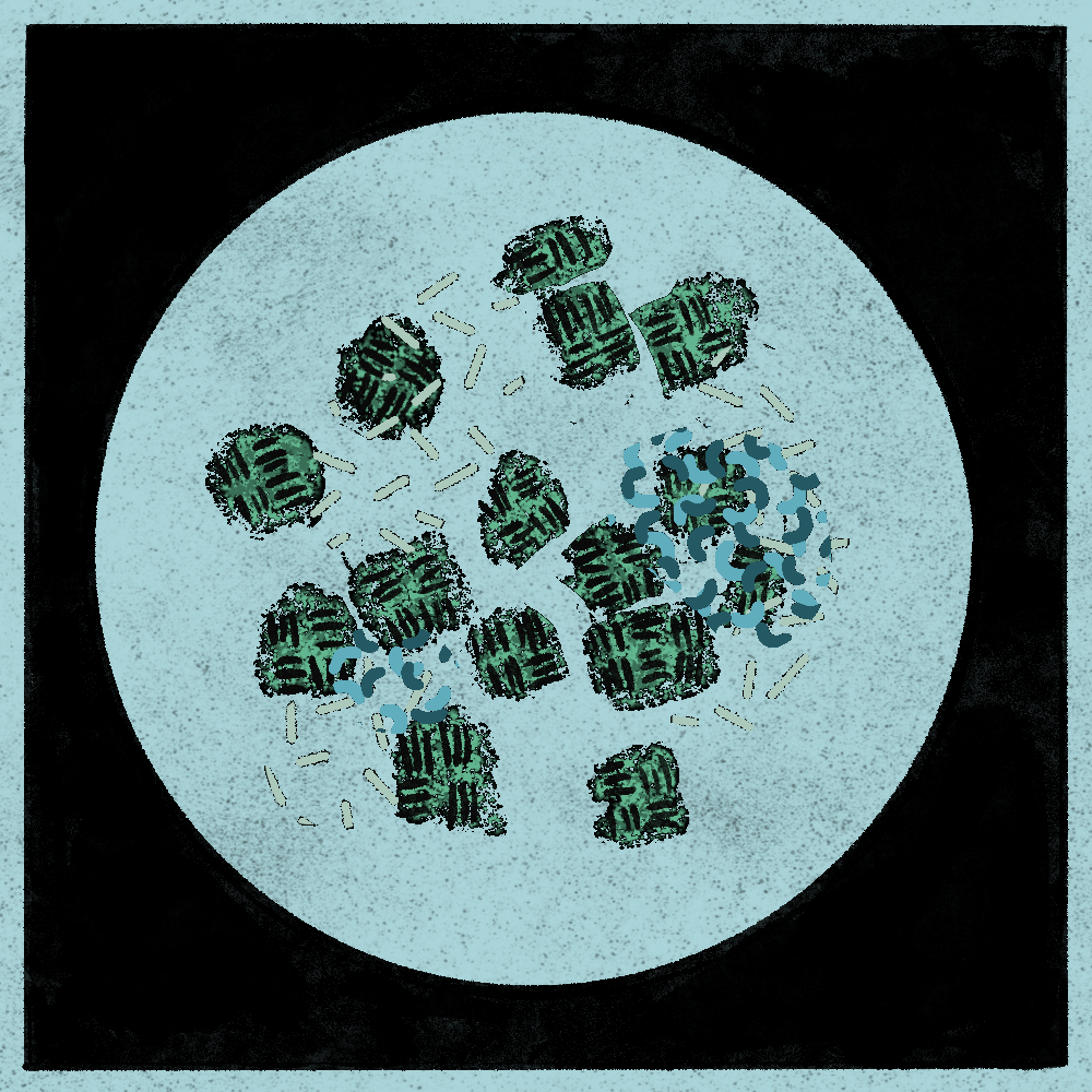 Microbes #201