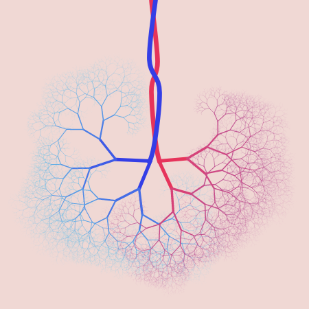 capillary trees #21