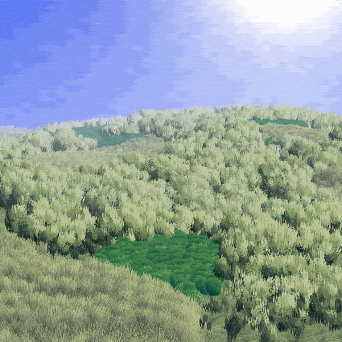 Provence #488