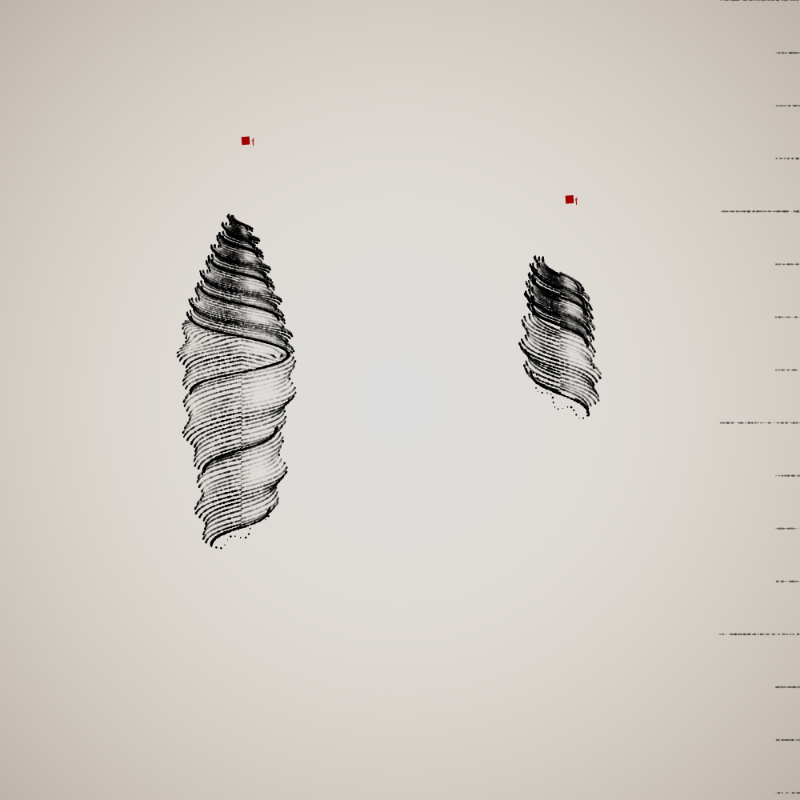 Two Specimen #147
