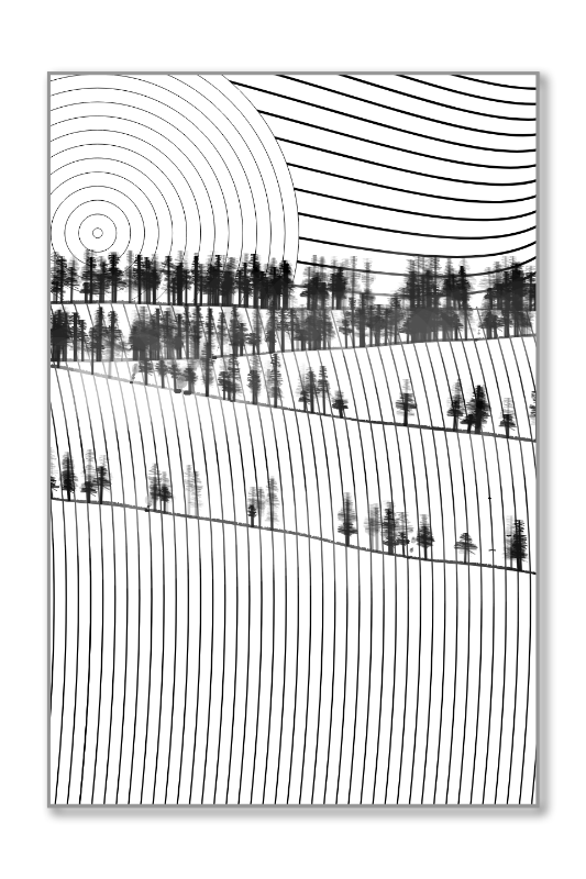 Harmonious Hill #43