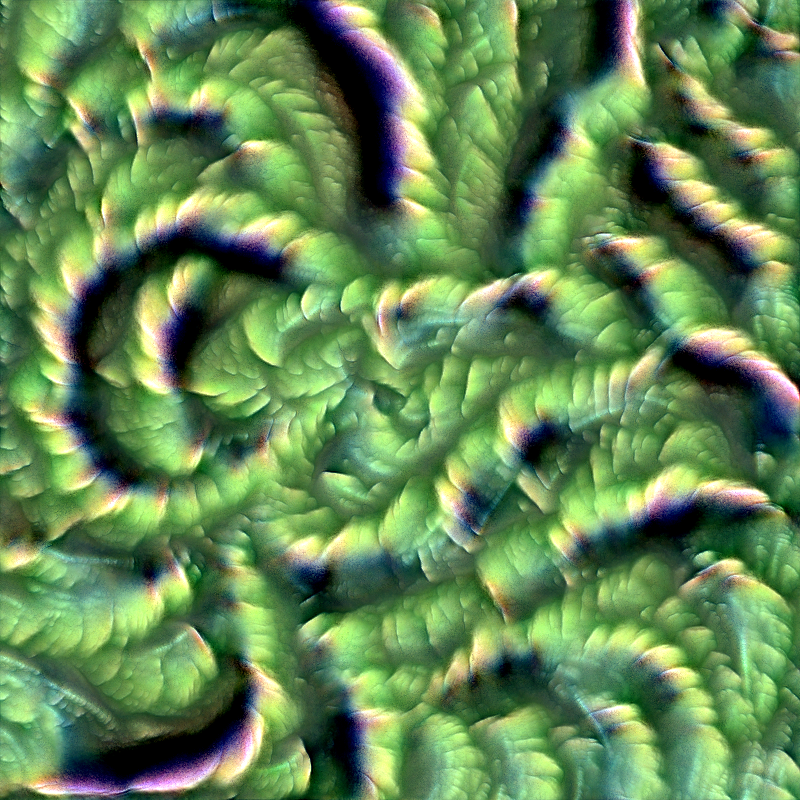Genomes #2690