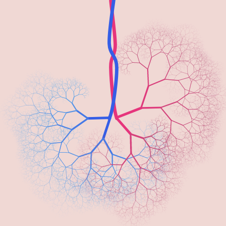 capillary trees #5