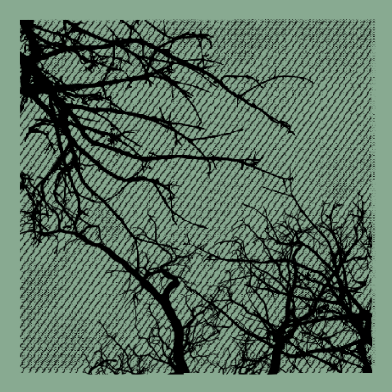 Forest of Shadows #34