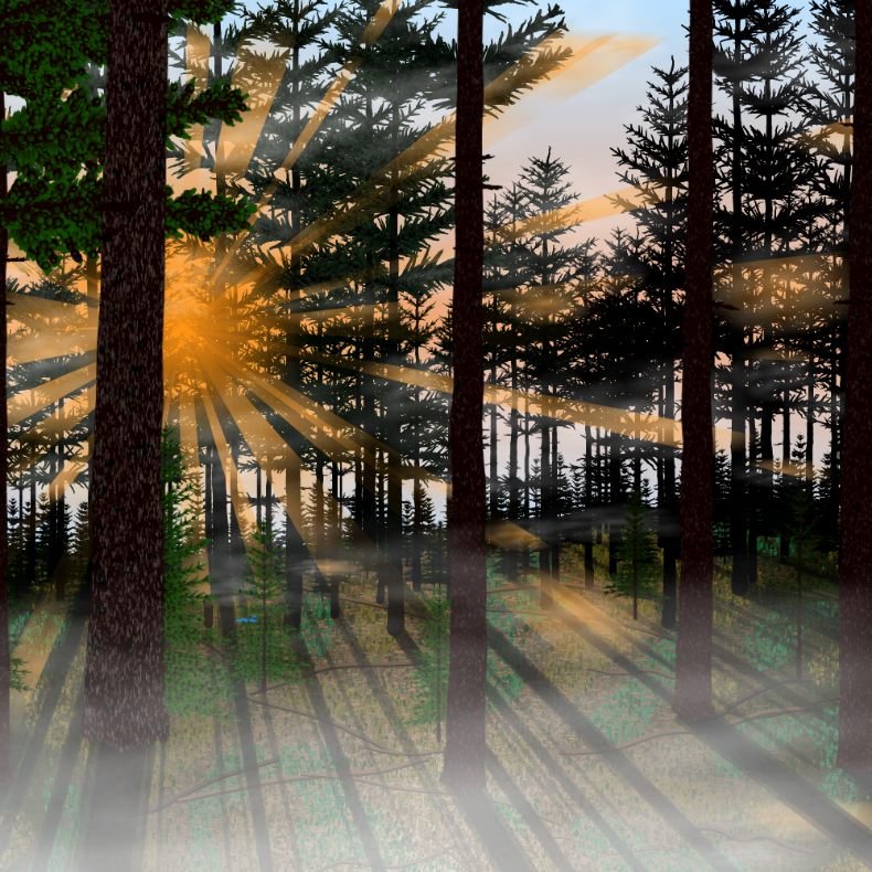 Forest Sunrise #3