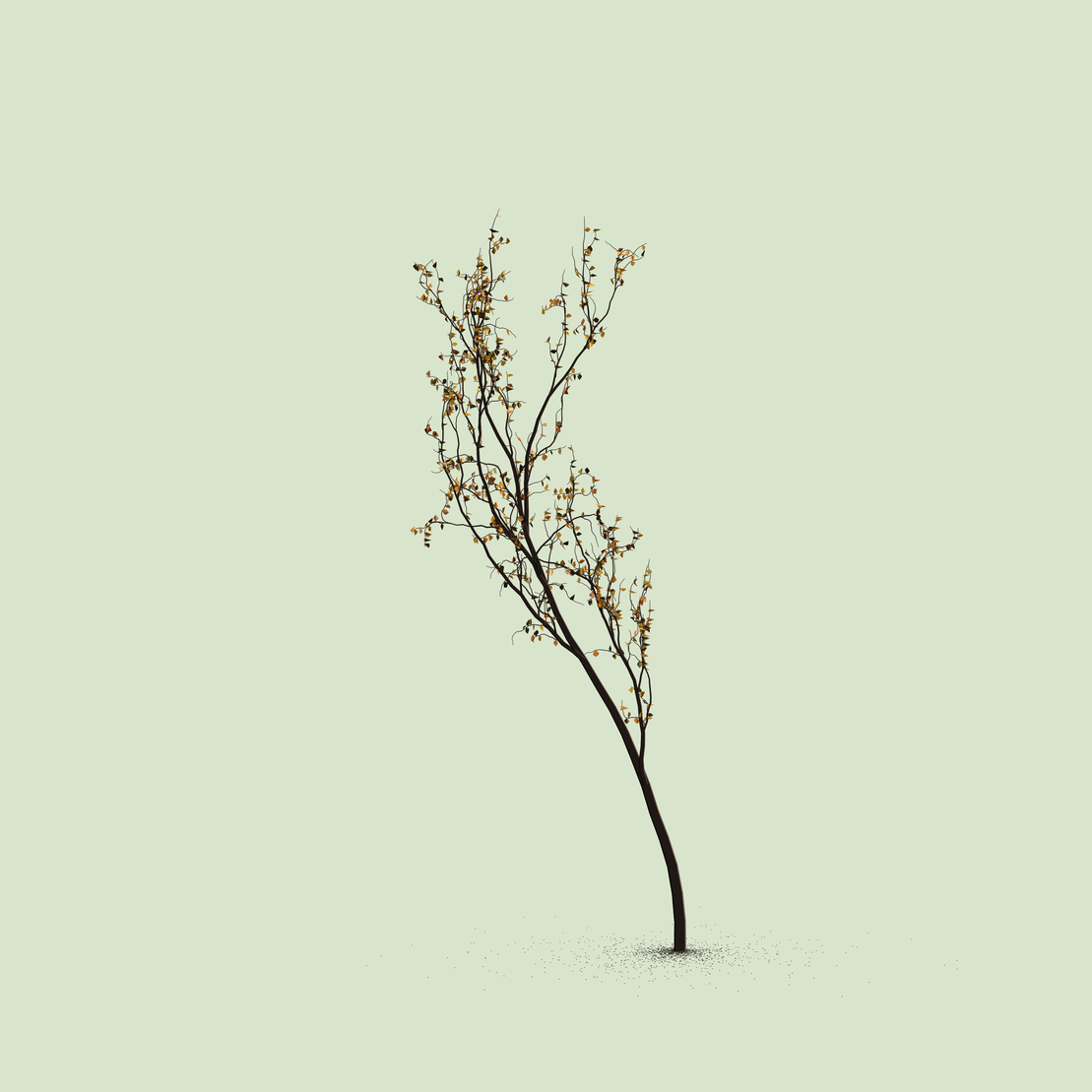 Little Trees #60