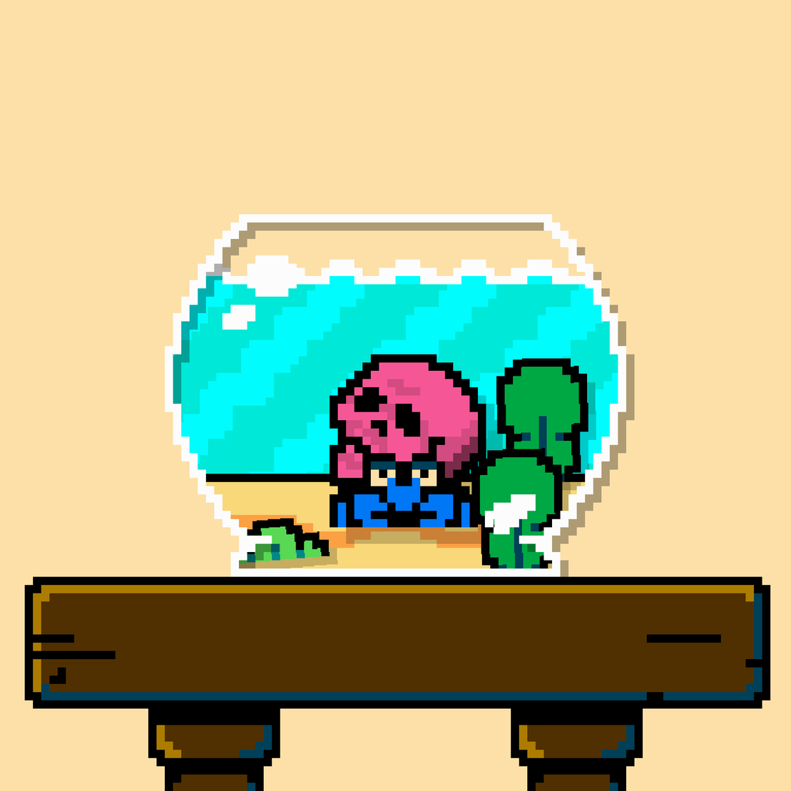 hermit crab #185