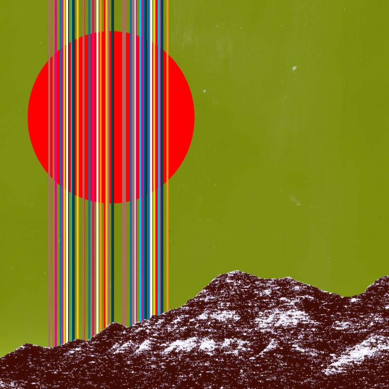 collage #1  from nature #18