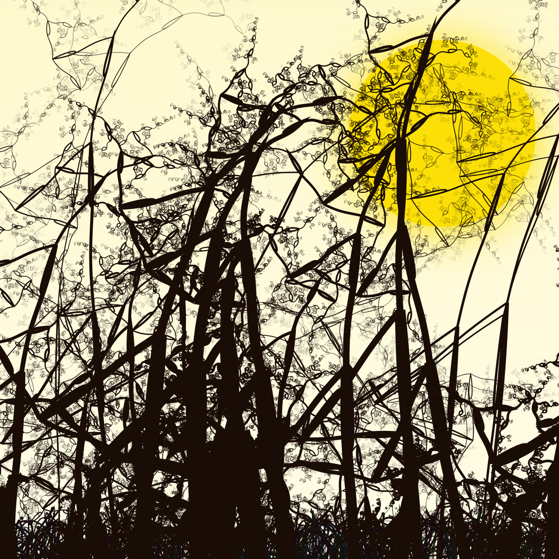 Wildwood Forest #779