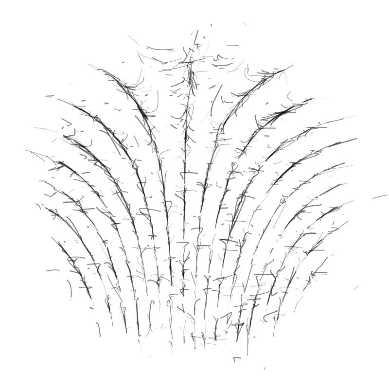 Magnetometer #12