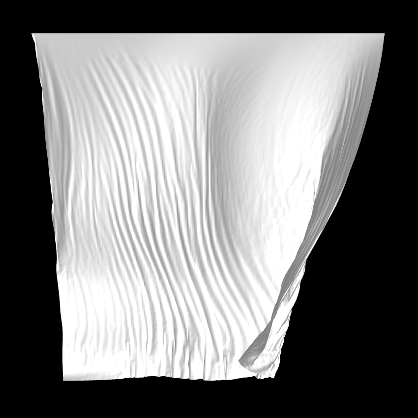 Fibril #58