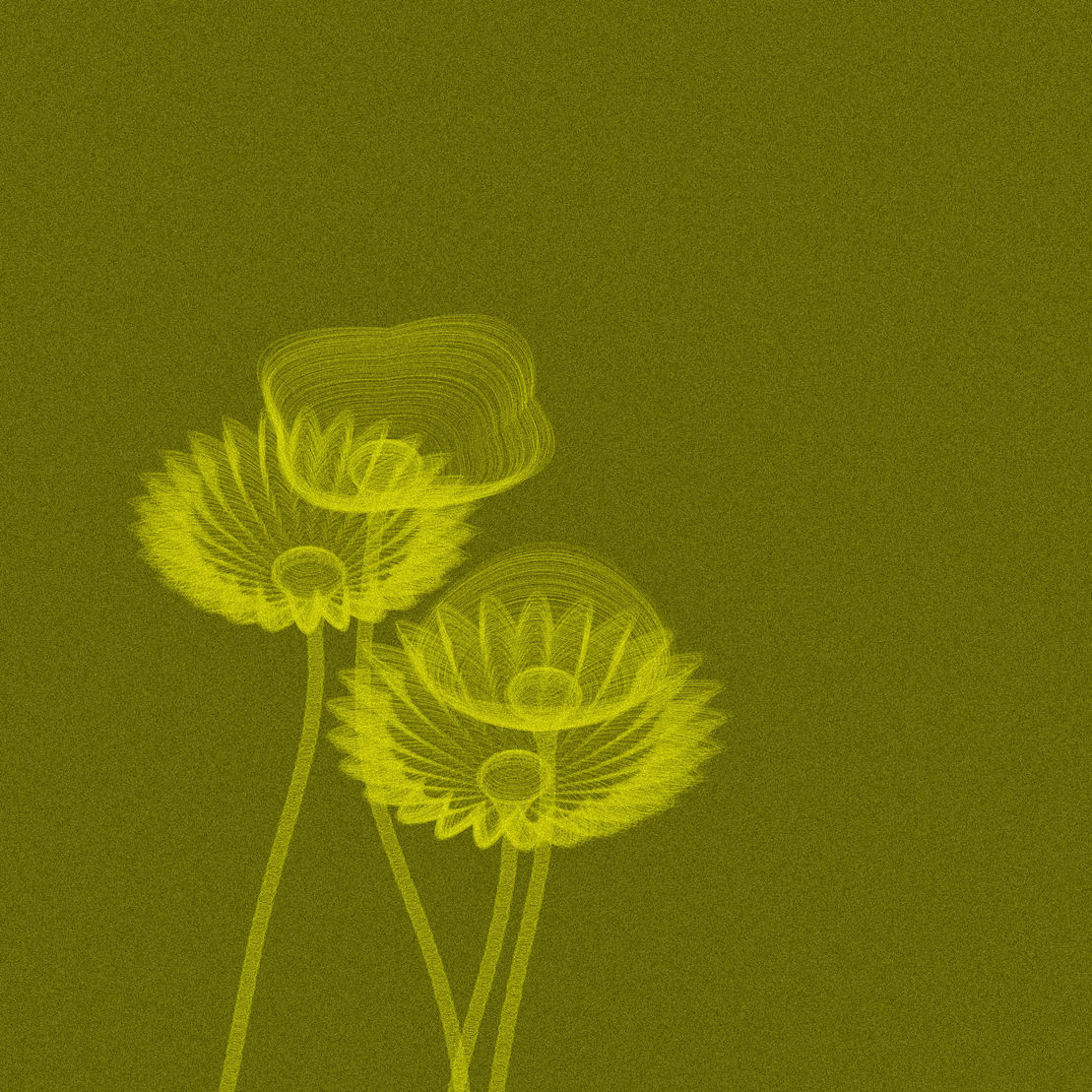 Code Flowers #49