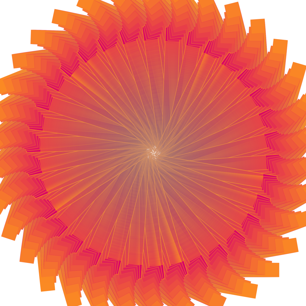 Poppy #336