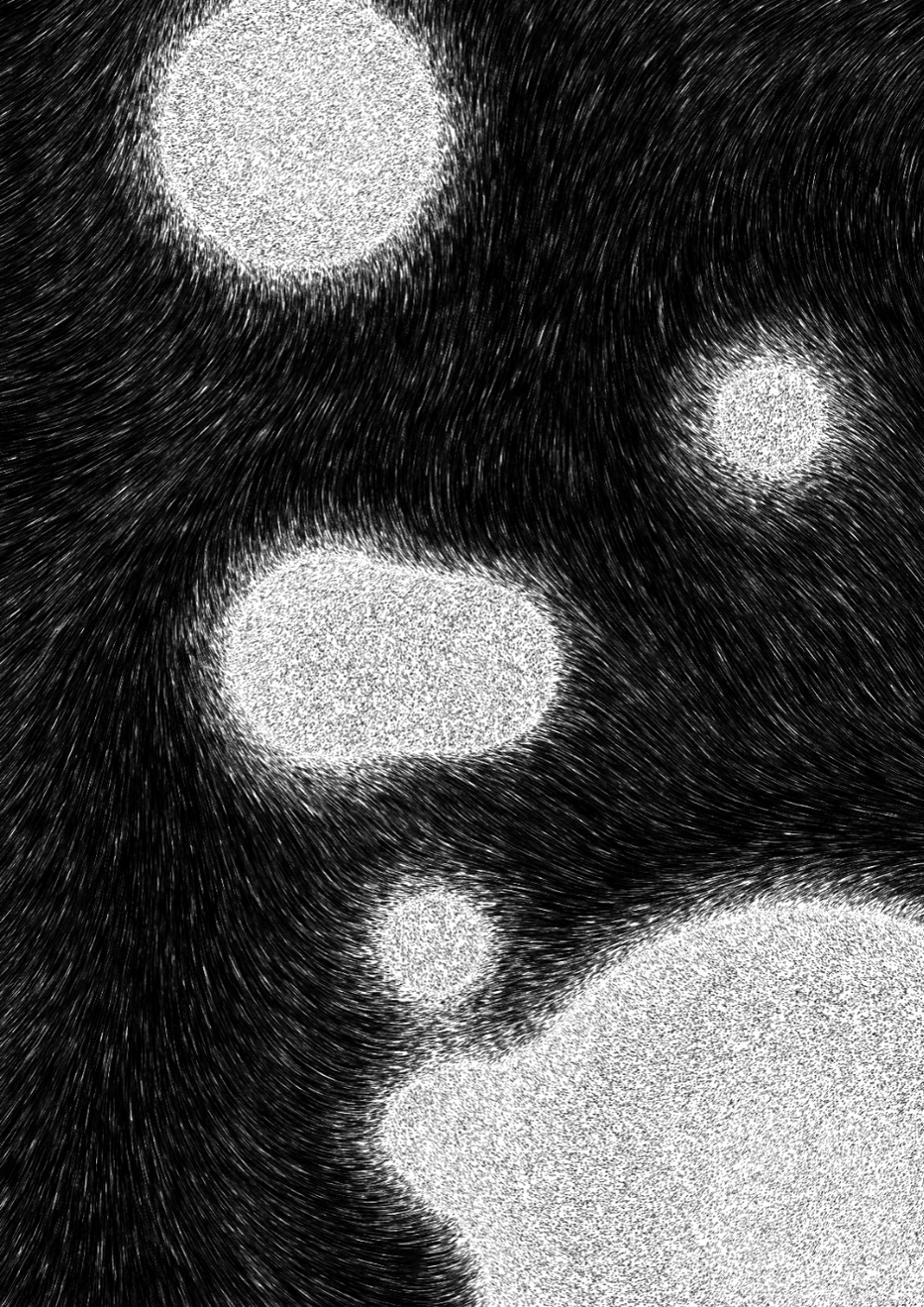 Flux #7